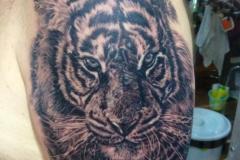 15697996_1367018456664310_9162411369487417194_n