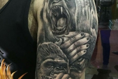 31065582_682730218784965_2879383024842047488_n